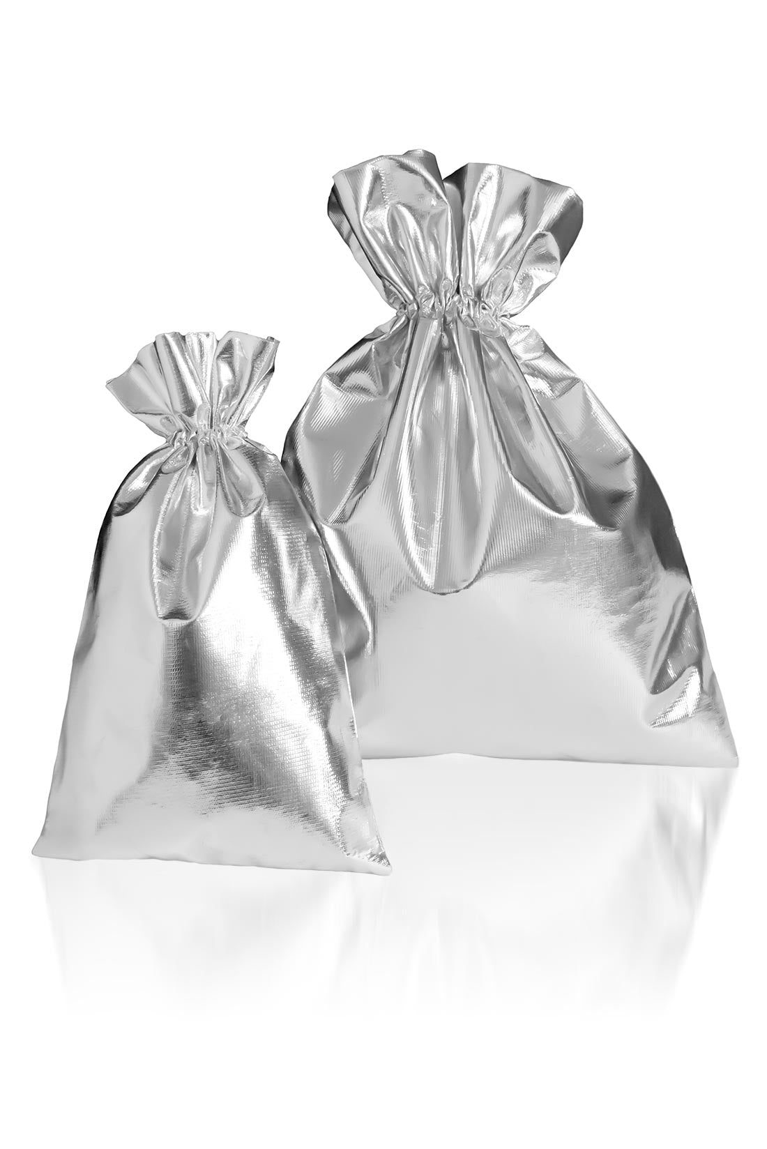 Shiny silver bag for gymnastics gifts, Destira, 2023
